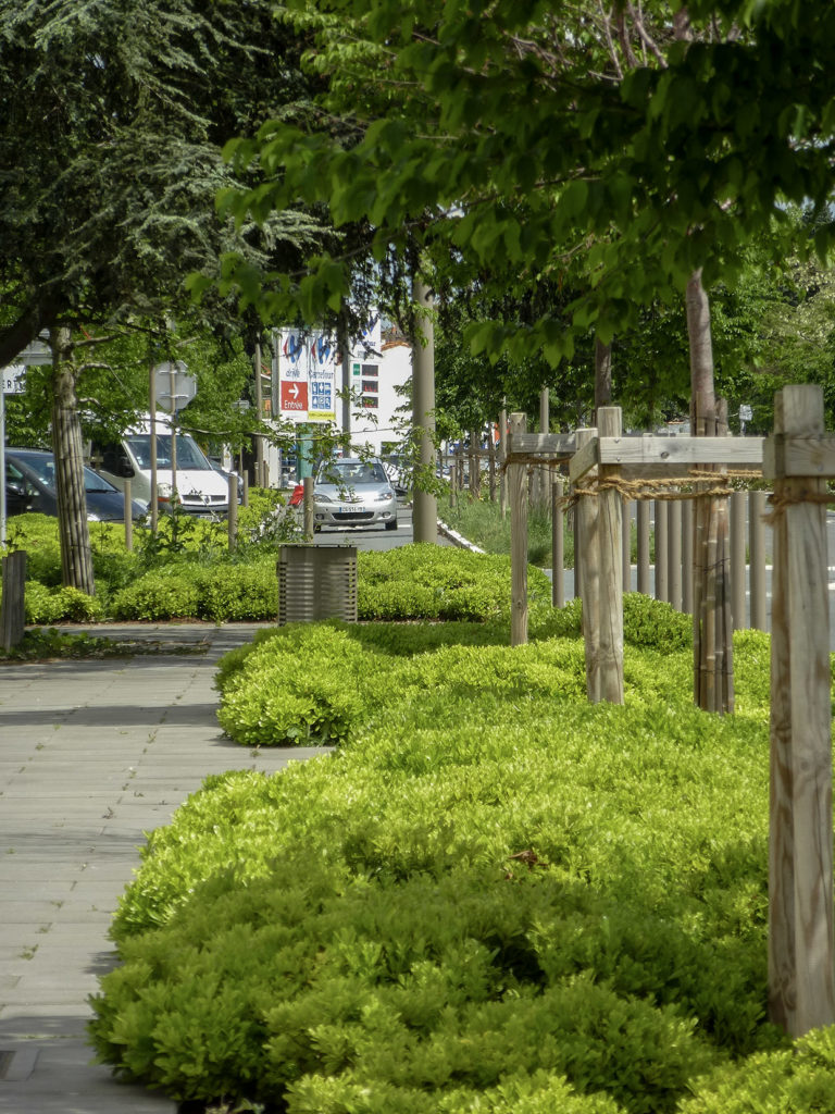 PHYTOLAB_Niort_clou-bouchet_photo03