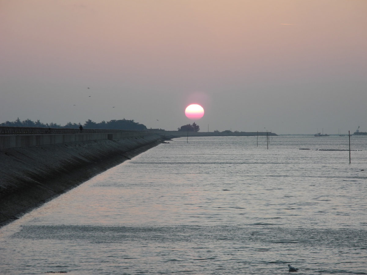 Phytolab est lauréat de la consultation (avec Arcadis, ISM et DHI) pour la conception et la maîtrise d’œuvre de protection des étiers et du port de Noirmoutier