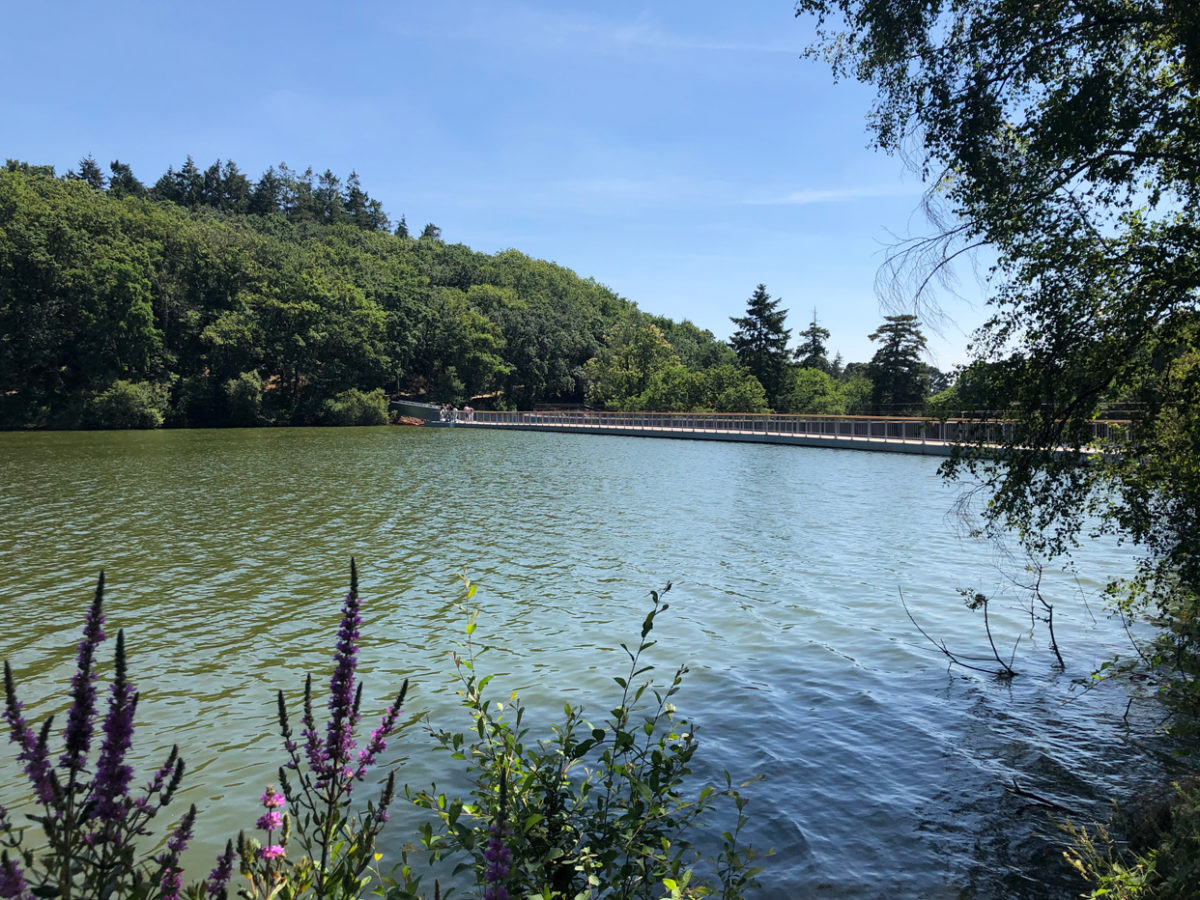 Promenade autour du lac de Savenay