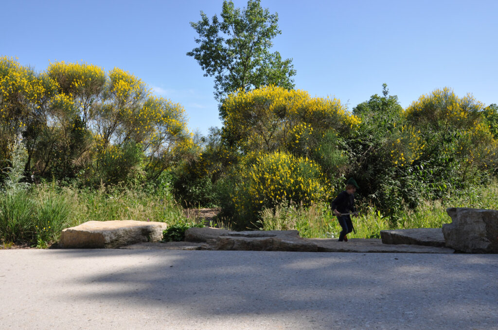 phytolab-Nantes-jardin-extraodinaire-friche-mai2020