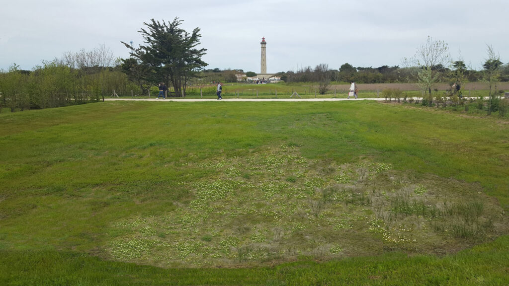 phytolab_Saint-Clement-phare-des-baleines-prairie-mai2020