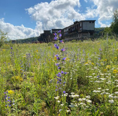 phytolab_Esch-sur-Alzette-photo-site