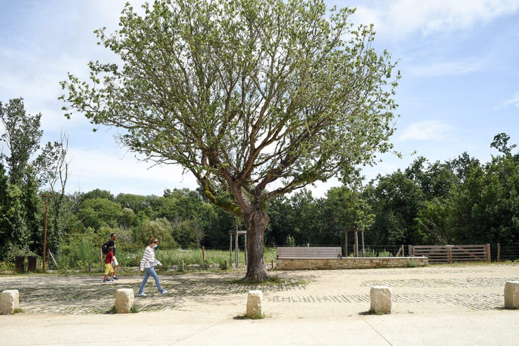 phytolab-sarzeau-domaine-suscinio-03