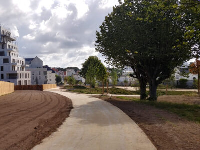 phytolab-lorient-bodelio-chantier-juillet2023